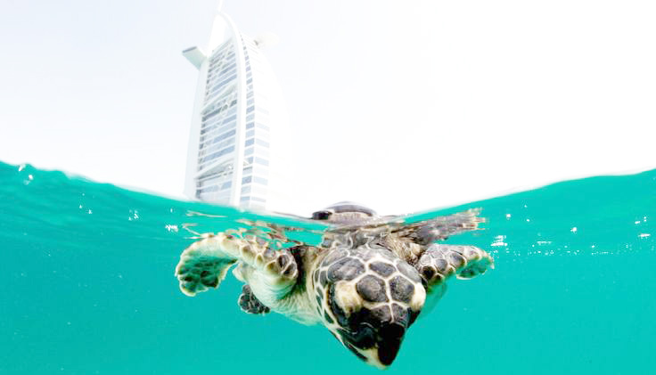 asuransi hotel murah 2